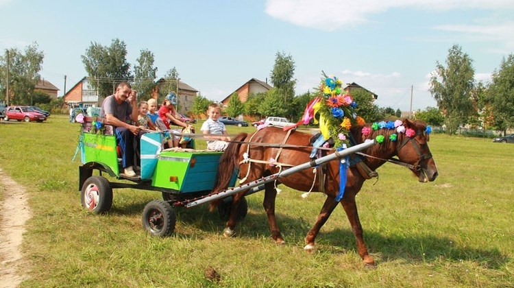 Іллінскі кірмаш, 2017 3